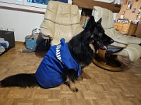 Okami  Bes.: Sändy Rechsteiner